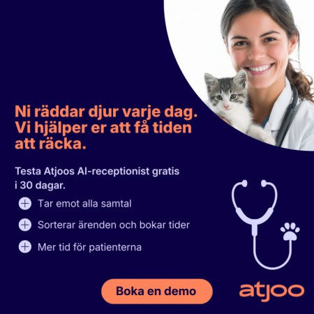 B2B-SÄLJARE (Remote) – Tjäna pengar på att hjälpa vård & veterinärvård