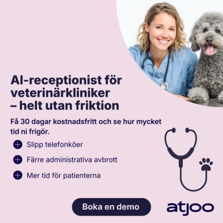 B2B-SÄLJARE (Remote) – Tjäna pengar på att hjälpa vård & veterinärvård