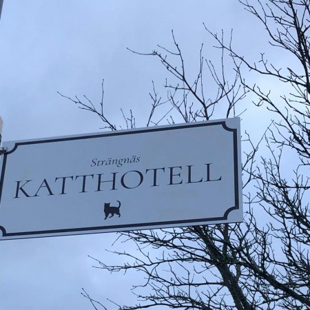 Strängnäs Katthotell